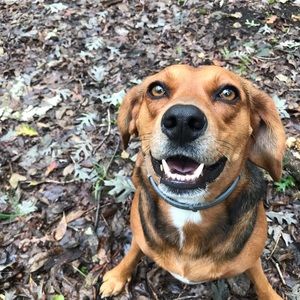 Meet your Posher, Grace